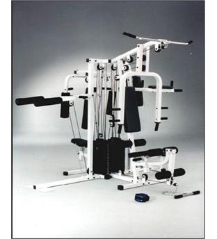 دستگاه چهار ایستگاهی بدنسازی  پرایری ولف